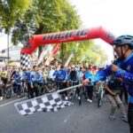 c87d1399-eec0-446f-a260-a2e0889763e1