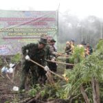 d6a12a5e-0036-47b0-8d6f-daea88fdee0e