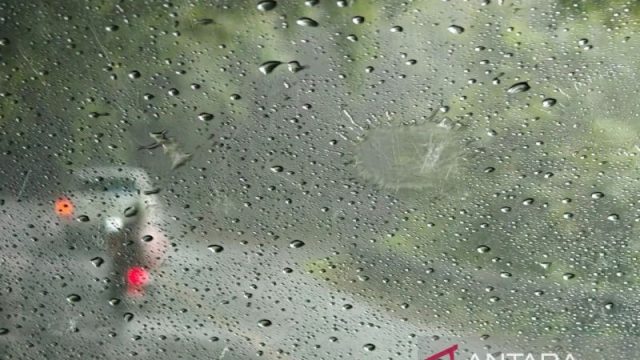 IMG-20260316-WA0004