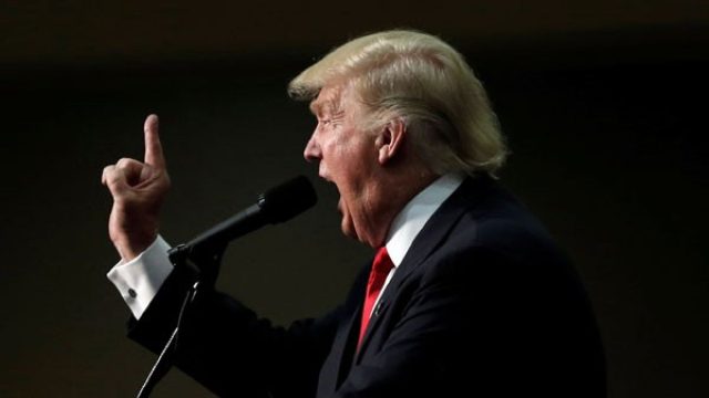 donaldbebek